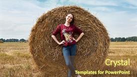  Presentation with hay field - PPT theme with hay wrapped in a haystack background and a tawny brown colored foreground