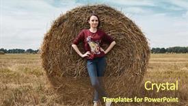  Presentation with hay field - Beautiful presentation theme featuring hay wrapped in a haystack backdrop and a  colored foreground