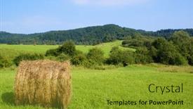  Presentation with poland - Colorful PPT theme enhanced with haymaking-in-mountains-bieszczady-poland backdrop and a gold colored foreground