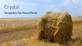  Presentation with summer time - Colorful slides enhanced with hayrick-on-summer-wheat-field backdrop and a sky blue colored foreground