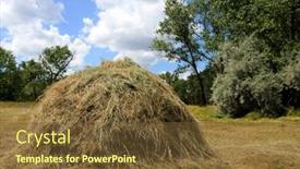  Presentation with meadow - Beautiful PPT theme featuring haystack-among-forest-meadow-sunny backdrop and a tawny brown colored foreground
