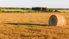  Presentation with field - PPT layouts featuring haystack-in-a-field background and a  colored foreground