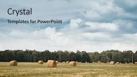  Presentation with summer wheat field blue - Presentation having haystacks in summer field beautiful background and a  colored foreground