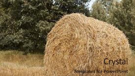  Presentation with field - Audience pleasing presentation theme consisting of haystacks in summer field beautiful backdrop and a  colored foreground