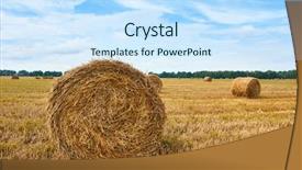  Presentation with field - Slide deck with haystacks in summer field beautiful background and a  colored foreground