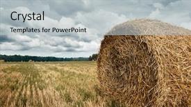 Presentation with field - Presentation having haystacks in summer field beautiful background and a  colored foreground