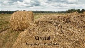  Presentation with field - Slides enhanced with haystacks in summer field beautiful background and a  colored foreground