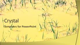  Presentation with water pool in river cave - Amazing PPT theme having hazardous materials - yellow river contaminated water backdrop and a blonde colored foreground