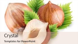  Presentation with group of wildlife crocodile isolated - Cool new presentation theme with hazelnut - group of filberts with haselnut backdrop and a coral colored foreground