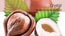  Presentation with fall leaves border white - Audience pleasing PPT layouts consisting of hazelnuts and hazelnut leaves isolated backdrop and a  colored foreground