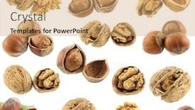  Presentation with hazelnuts - PPT layouts with hazelnuts and walnuts set background and a coral colored foreground