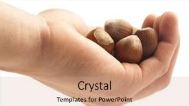  Presentation with hazelnuts - Amazing presentation having hazelnuts-handful-on-hand backdrop and a coral colored foreground