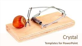  Presentation with hazelnuts - PPT layouts featuring hazelnuts in a mousetrap isolated on white background and a lemonade colored foreground