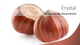  Presentation with hazelnuts - PPT theme featuring hazelnuts-in-closep-on-white background and a white colored foreground