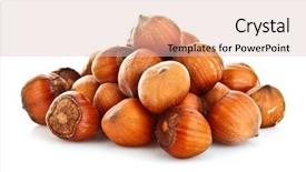  Presentation with hazelnuts - Audience pleasing PPT theme consisting of hazel nut - hazelnuts isolated on white background backdrop and a lemonade colored foreground