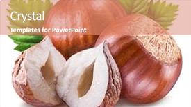  Presentation with green leaves - PPT theme enhanced with hazelnuts kernel of filbert background and a coral colored foreground
