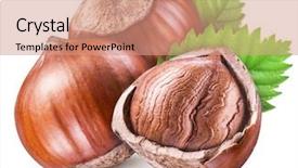  Presentation with green leaves - Beautiful slide deck featuring hazelnuts kernel of hazelnut backdrop and a coral colored foreground