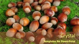  Presentation with hazelnuts - 