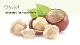  Presentation with hazelnuts - Slides enhanced with hazelnuts-with-leaf-on-white background and a blonde colored foreground