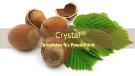  Presentation with hazelnuts - PPT theme consisting of hazelnuts with leaves background and a tawny brown colored foreground