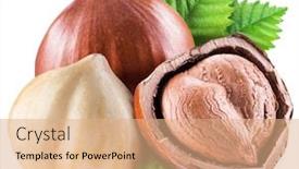  Presentation with hazelnuts - PPT theme having hazelnuts-with-shell-hazel-leaves background and a coral colored foreground