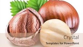  Presentation with hazelnuts - Cool new PPT theme with hazelnuts-with-shell-hazel-leaves backdrop and a coral colored foreground