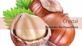  Presentation with hazelnuts - Slide set enhanced with hazelnuts-with-shell-hazel-leaves background and a coral colored foreground