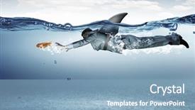  Presentation with shark - Amazing slides having sharks 3d - he is dangerous like shark backdrop and a light blue colored foreground