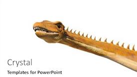  Presentation with dinosaur - Audience pleasing slide set consisting of head-dinosaur-isolated-on-white backdrop and a white colored foreground