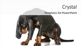  Presentation with tan - Amazing presentation design having head dropped as though ashame backdrop and a  colored foreground