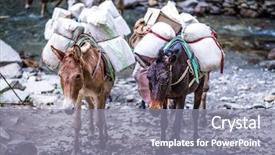  Presentation with trail - Beautiful PPT layouts featuring head gear - two old donkeys carrying goods backdrop and a gray colored foreground