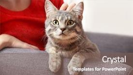  Presentation with cute cat and dog - Beautiful PPT layouts featuring head hunter - woman with cute cat backdrop and a  colored foreground