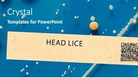  Presentation with scalp - Theme featuring head-lice-parasitic-infection background and a ocean colored foreground