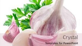  Presentation with garlic - Presentation theme with head-of-young-garlic background and a coral colored foreground
