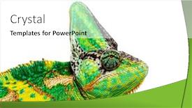  Presentation with head - Slide set having head-shot-of-a-profile background and a white colored foreground