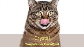  Presentation with waiting - PPT layouts having head-shot-of-a-striped background and a tawny brown colored foreground