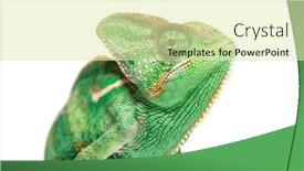  Presentation with head - Presentation design enhanced with head-shot-of-a-veiled and a soft green colored foreground