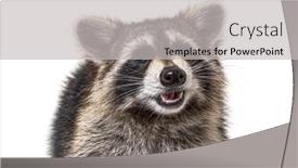  Presentation with head - Colorful slides enhanced with head-shot-of-a-young backdrop and a light gray colored foreground