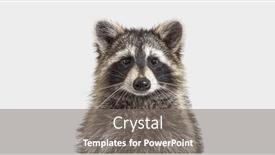  Presentation with head - Presentation theme consisting of head-shot-of-a-young background and a gray colored foreground