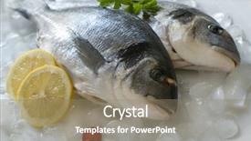  Presentation with seafood - Beautiful presentation featuring head sparus aurata on ice backdrop and a  colored foreground