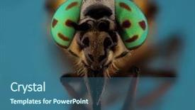  Presentation with biology - Slide deck having head with metallic eye background and a ocean colored foreground