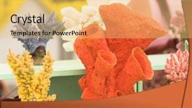  Presentation with flea - Presentation featuring heads at a flea market background and a yellow colored foreground