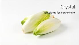  Presentation with fresh ginger root on white - Presentation theme enhanced with heads of fresh belgian endive on white background background and a white colored foreground
