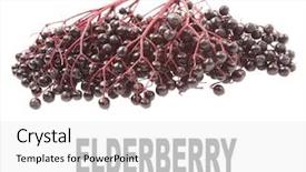  Presentation with angina - PPT theme featuring shipping - seagull seagulls flying background and a sky blue colored foreground