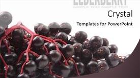  Presentation with angina - Colorful slide deck enhanced with healht - elderberry sambuscus nigra the flowers backdrop and a white colored foreground