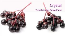  Presentation with angina - Audience pleasing presentation theme consisting of healht - sambucus nigra - elder backdrop and a lemonade colored foreground