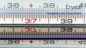  Presentation with brushed metal plate reflected - PPT layouts featuring green common tree frog background and a violet colored foreground