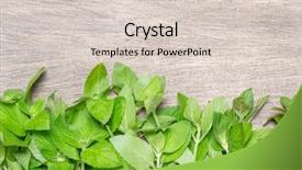  Presentation with free spiritual healing - Cool new slides with healing background with fresh mint backdrop and a  colored foreground
