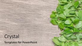  Presentation with free spiritual healing - Theme enhanced with healing background with fresh mint background and a  colored foreground