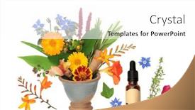  Presentation with alternative - Slide deck with healing-flowers-and-herbs-used background and a white colored foreground
